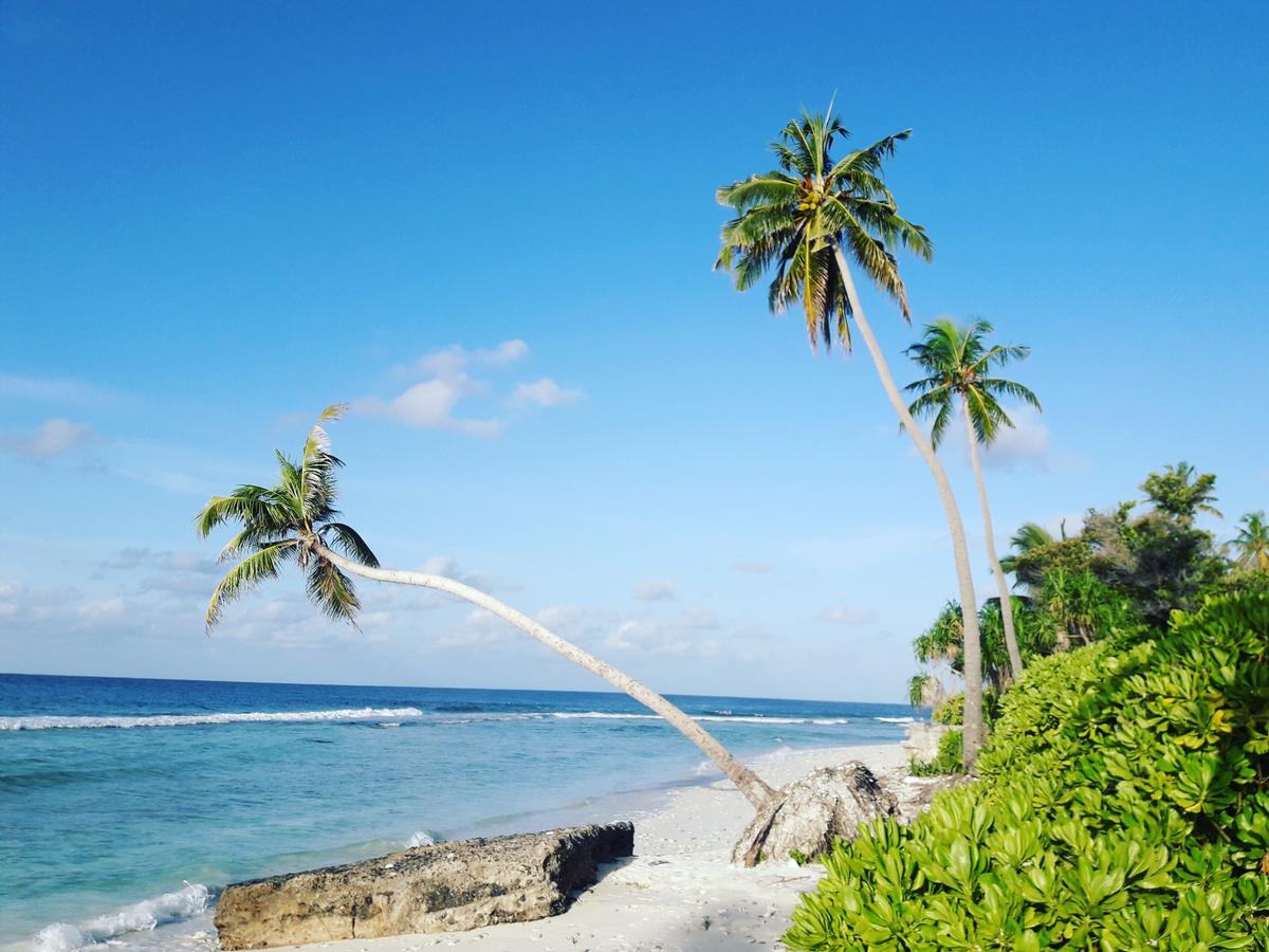 Charming Holiday Lodge- Addu Atoll Meedhoo, Maldives Экстерьер фото